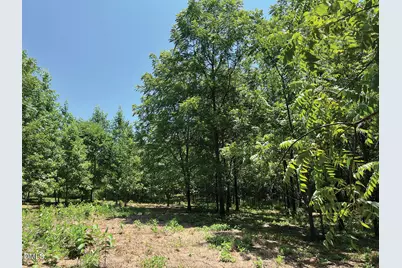 2338 Bowers Store Road, Siler City, NC 27344 - Photo 2