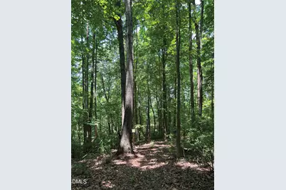 2338 Bowers Store Road, Siler City, NC 27344 - Photo 4