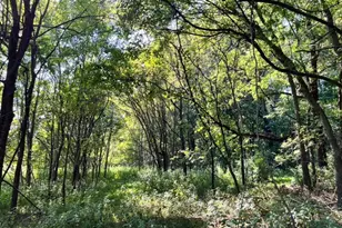 2338 Bowers Store Rd, Siler City, NC 27344 - Photo 1