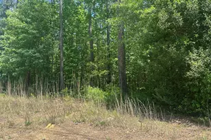 2917 New Hill Holleman Rd, New Hill, NC 27562 - Photo 30