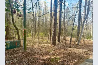 201 Hillandale Drive, Oxford, NC 27565 - Photo 62