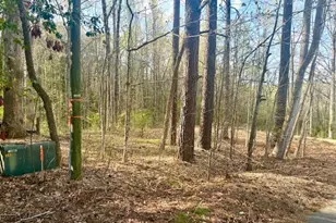 201 Hillandale Dr, Oxford, NC 27565 - Photo 62