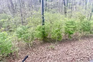 201 Hillandale Dr, Oxford, NC 27565 - Photo 56