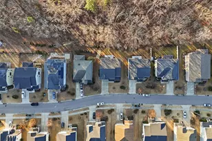 1037 Bender Ridge Dr, Morrisville, NC 27560 - Photo 46