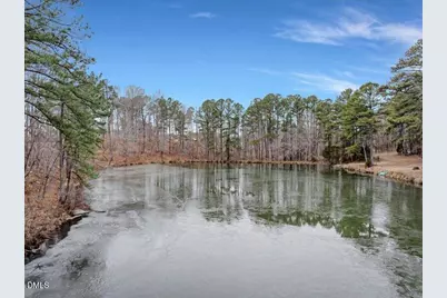 113 Country Brook Lane, Youngsville, NC 27596 - Photo 30