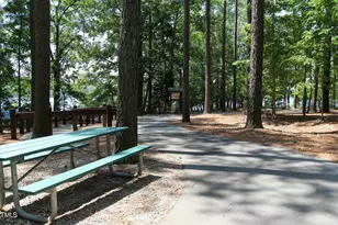 213 Carolina Spgs Blvd, Apex, NC 27539 - Photo 34