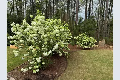 2808 Brighton Forest Drive, Apex, NC 27539 - Photo 48