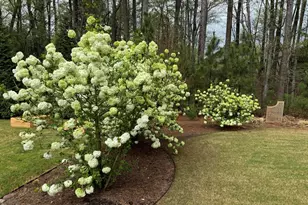 2808 Brighton Forest Dr, Apex, NC 27539 - Photo 48