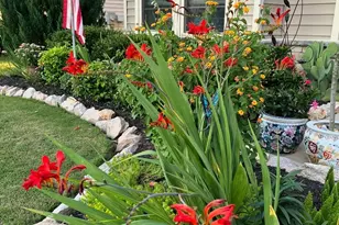 3232 Lacewing Dr, Zebulon, NC 27597 - Photo 2