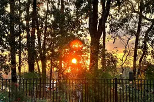 3232 Lacewing Dr, Zebulon, NC 27597 - Photo 20