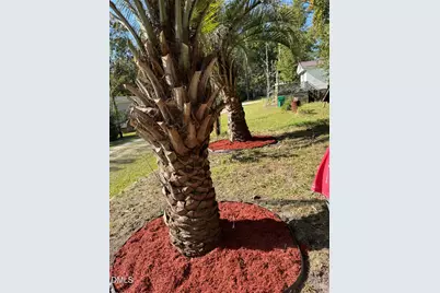 1178 Cyprus Street SW, Supply, NC 28452 - Photo 6