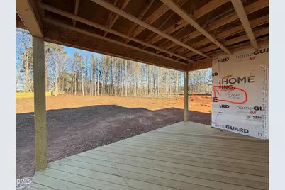 169 Charlotte Knoll Street, Zebulon, NC 27597 - Photo 14