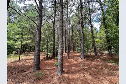 0 US 401 Highway S, Youngsville, NC 27596 - Photo 10