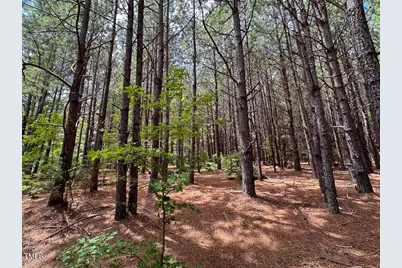 0 US 401 Highway S, Youngsville, NC 27596 - Photo 16