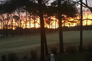 8824 Wildwood Links, Raleigh, NC 27613 - Photo 52