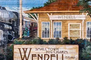 1125 Days End Pl, Wendell, NC 27591 - Photo 46