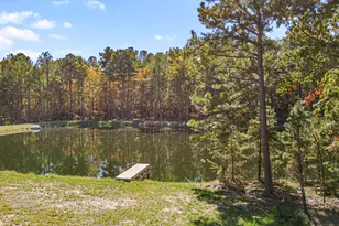 4637 Array Dr, Chapel Hill, NC 27516 - Photo 52