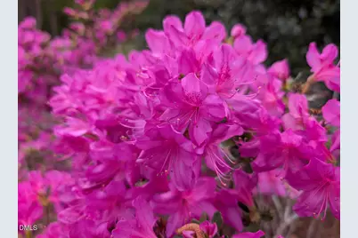 41 Maple Circle, Pittsboro, NC 27312 - Photo 58