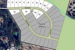 415 Heidi May Wy, Carthage, NC 28327 - Photo 48