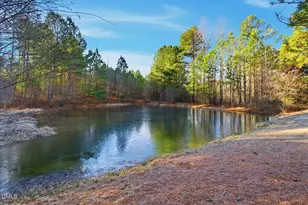 1190 Little Mountain Rd, Stem, NC 27581 - Photo 36
