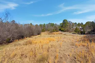 1190 Little Mountain Rd, Stem, NC 27581 - Photo 46