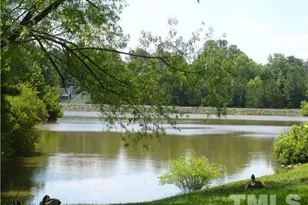 105 Albany Point, Chapel Hill, NC 27517 - Photo 28