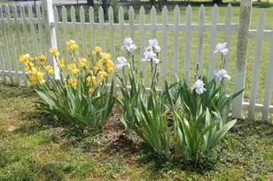 257 Lambe Rd, Snow Camp, NC 27349 - Photo 48