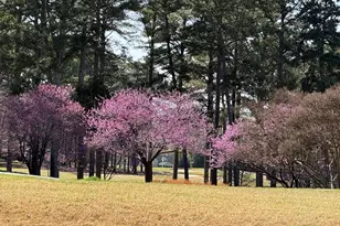 7117 N Ridge Dr, Raleigh, NC 27615 - Photo 52