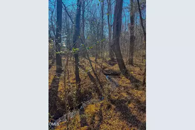 1710 Efland - Cedar Grove Road, Efland, NC 27243 - Photo 4