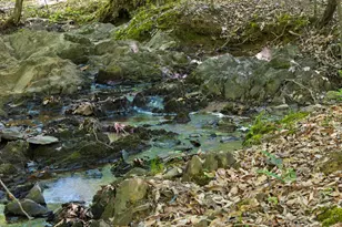 5500 Nc Hwy 86, Chapel Hill, NC 27514 - Photo 92