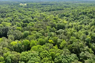 5500 Nc Hwy 86, Chapel Hill, NC 27514 - Photo 98