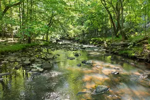 5500 Nc Hwy 86, Chapel Hill, NC 27514 - Photo 80