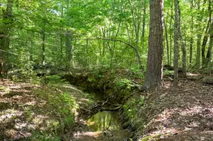 5500 Nc Hwy 86, Chapel Hill, NC 27514 - Photo 88