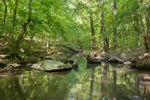 5500 Nc Hwy 86, Chapel Hill, NC 27514 - Photo 86