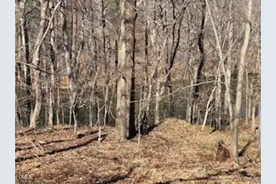 1105 Fontaine Road, Roxboro, NC 27574 - Photo 58