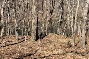 1105 Fontaine Rd, Roxboro, NC 27574 - Photo 60