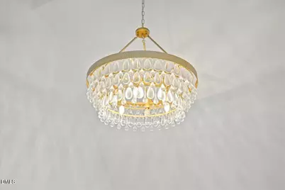 1615 Carbonton Road, Sanford, NC 27330 - Photo 32