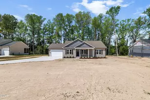 1061 Nor-Am Rd, Pikeville, NC 27863 - Photo 4