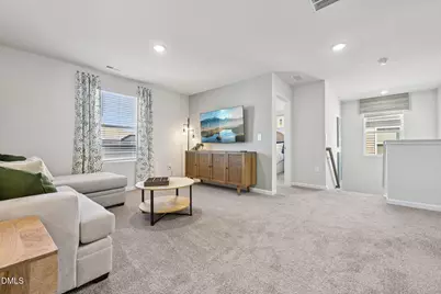 74 White Birch Lane, Angier, NC 27501 - Photo 22