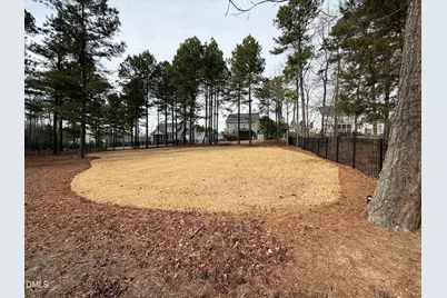 205 Old Ballentine Way, Holly Springs, NC 27540 - Photo 56