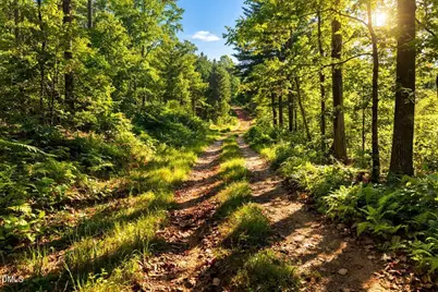 00-00 Ridley Ranch Road, Statesville, NC 28625 - Photo 2