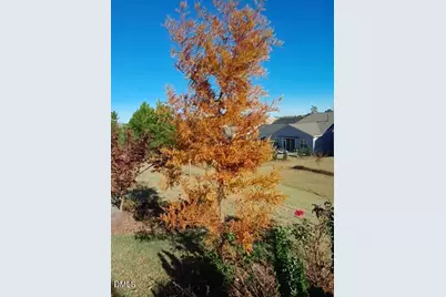 1208 Farm Leaf Drive, Durham, NC 27703 - Photo 62