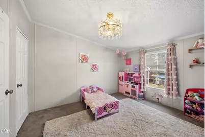 4703 Trinity Lane, Rougemont, NC 27572 - Photo 28