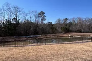 1573 Indigo Creek Dr, Zebulon, NC 27597 - Photo 16