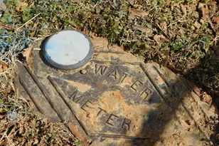 906 Price Ave, Durham, NC 27701 - Photo 20