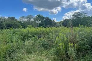 444 Crossvine Close, Pittsboro, NC 27312 - Photo 58