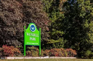 325 Sweetbay Tree Dr, Wendell, NC 27591 - Photo 24