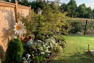 605 Open Air Ln, Hillsborough, NC 27278 - Photo 28