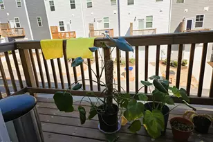 716 Cormiche Ln, Wake Forest, NC 27587 - Photo 18