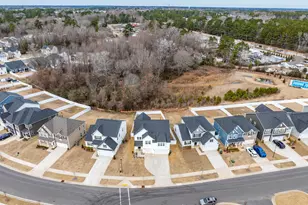 90 Buckhorn Br Pk, Clayton, NC 27520 - Photo 38